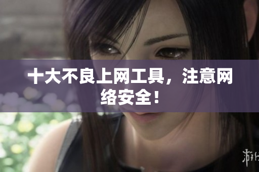 十大不良上网工具，注意网络安全！