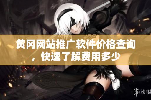 黄冈网站推广软件价格查询，快速了解费用多少