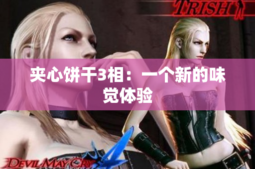 夹心饼干3相：一个新的味觉体验
