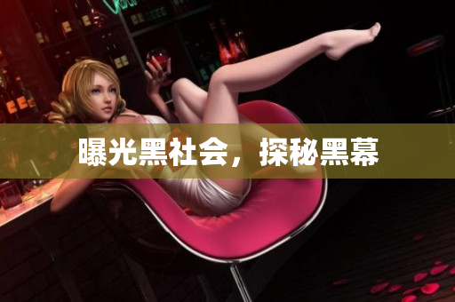 曝光黑社会，探秘黑幕