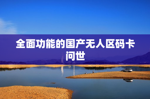 全面功能的国产无人区码卡问世