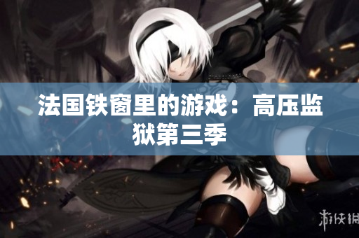 法国铁窗里的游戏：高压监狱第三季