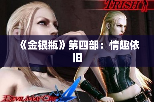 《金银瓶》第四部：情趣依旧