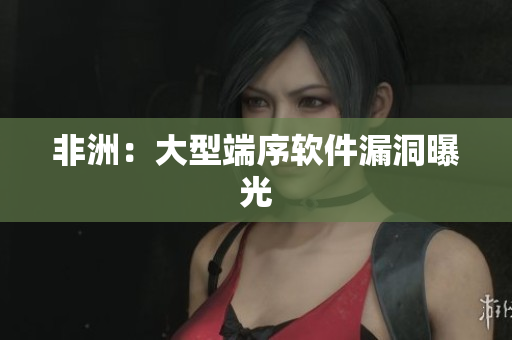 非洲：大型端序软件漏洞曝光
