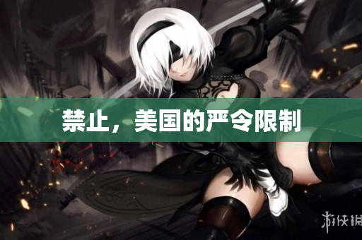 禁止，美国的严令限制