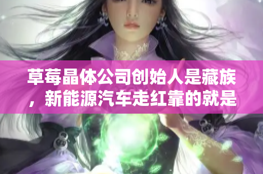 草莓晶体公司创始人是藏族，新能源汽车走红靠的就是他们！