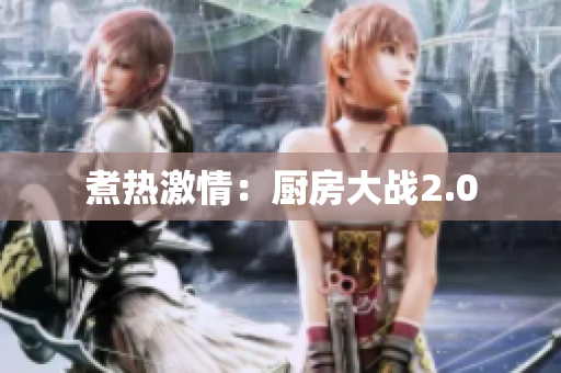 煮热激情：厨房大战2.0