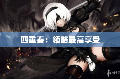 四重奏：领略最高享受