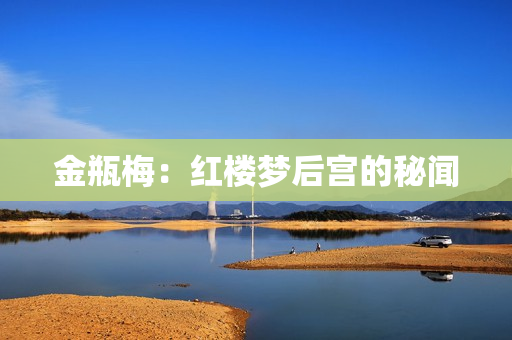 金瓶梅：红楼梦后宫的秘闻