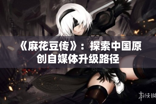 《麻花豆传》：探索中国原创自媒体升级路径