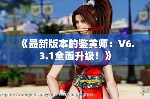 《最新版本的鉴黄师：V6.3.1全面升级！》