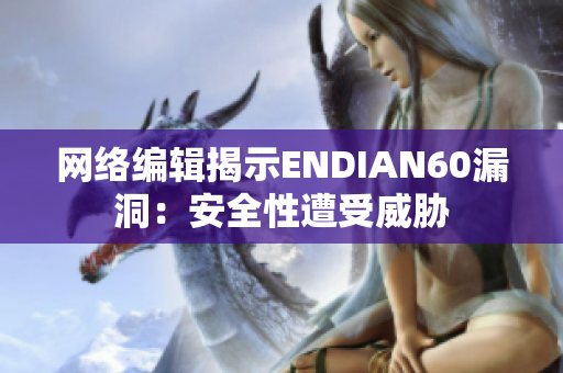 网络编辑揭示ENDIAN60漏洞：安全性遭受威胁