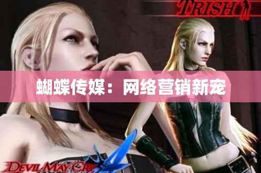 蝴蝶传媒：网络营销新宠