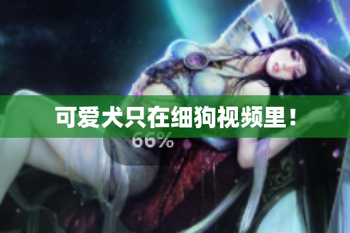 可爱犬只在细狗视频里！