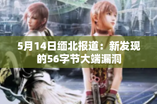 5月14日缅北报道：新发现的56字节大端漏洞