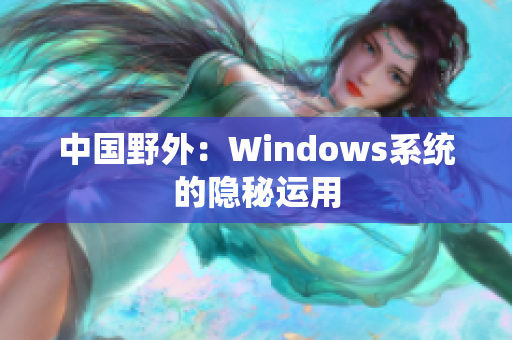 中国野外：Windows系统的隐秘运用