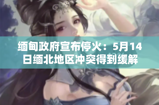 缅甸政府宣布停火：5月14日缅北地区冲突得到缓解