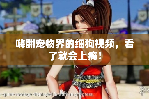 嗨翻宠物界的细狗视频，看了就会上瘾！