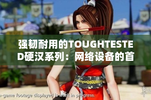 强韧耐用的TOUGHTESTED硬汉系列：网络设备的首选