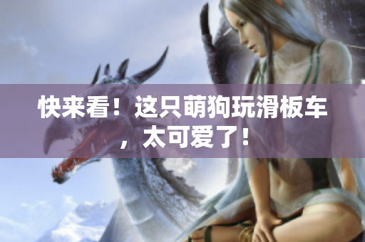 快来看！这只萌狗玩滑板车，太可爱了！