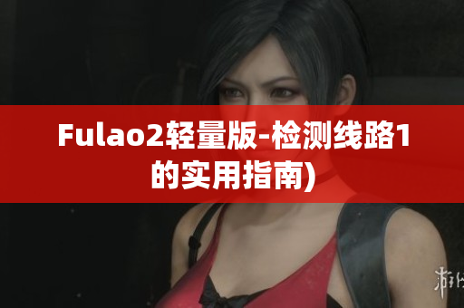 Fulao2轻量版-检测线路1的实用指南)