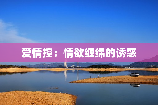 爱情控：情欲缠绵的诱惑
