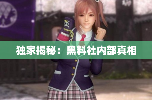 独家揭秘：黑料社内部真相