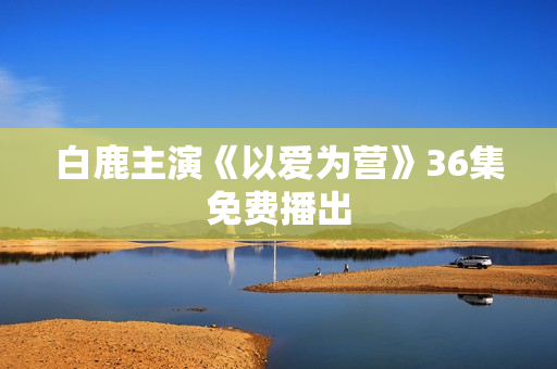 白鹿主演《以爱为营》36集免费播出