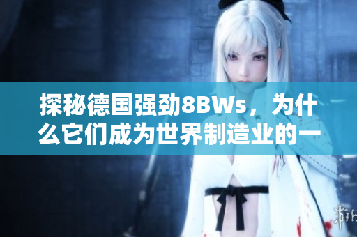 探秘德国强劲8BWs，为什么它们成为世界制造业的一流选择