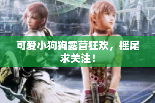 可爱小狗狗露营狂欢，摇尾求关注！