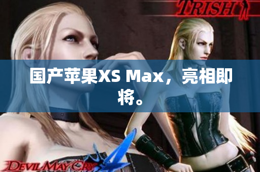 国产苹果XS Max，亮相即将。