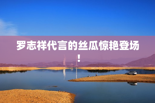 罗志祥代言的丝瓜惊艳登场！