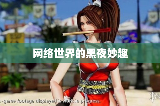 网络世界的黑夜妙趣