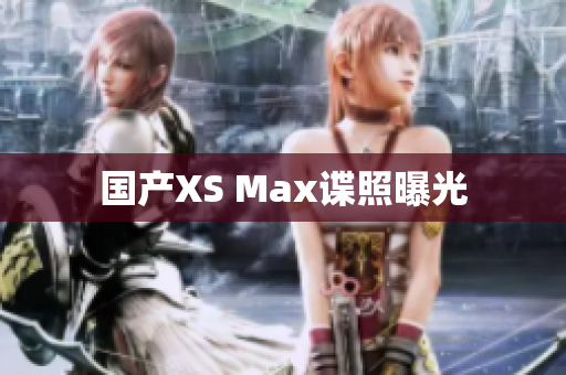 国产XS Max谍照曝光
