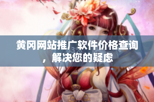 黄冈网站推广软件价格查询，解决您的疑虑