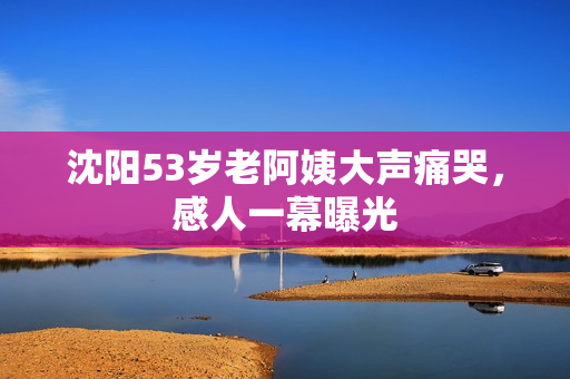 沈阳53岁老阿姨大声痛哭，感人一幕曝光