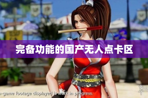 完备功能的国产无人点卡区