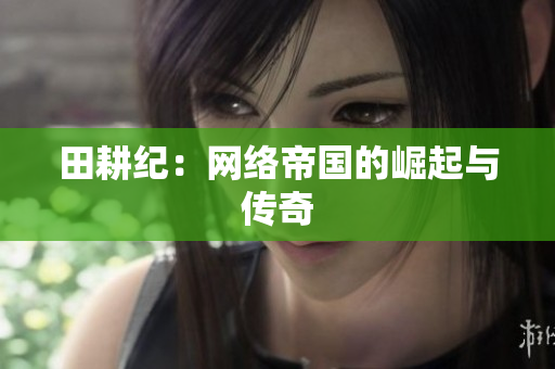 田耕纪：网络帝国的崛起与传奇