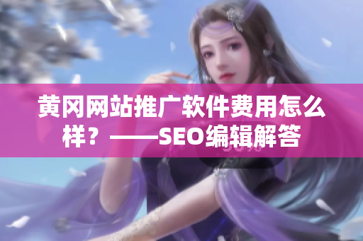 黄冈网站推广软件费用怎么样？——SEO编辑解答