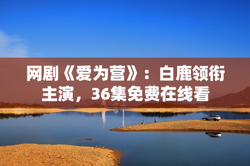 网剧《爱为营》：白鹿领衔主演，36集免费在线看