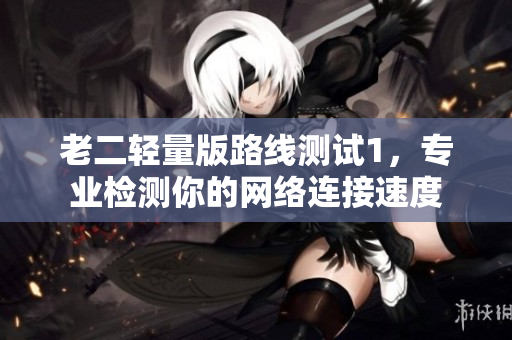 老二轻量版路线测试1，专业检测你的网络连接速度