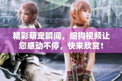 精彩萌宠瞬间，细狗视频让您感动不停，快来欣赏！