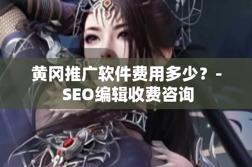 黄冈推广软件费用多少？- SEO编辑收费咨询