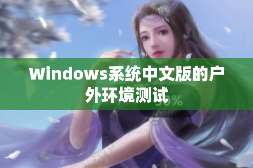 Windows系统中文版的户外环境测试