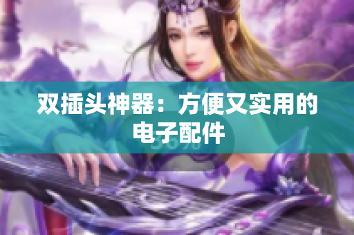 双插头神器：方便又实用的电子配件