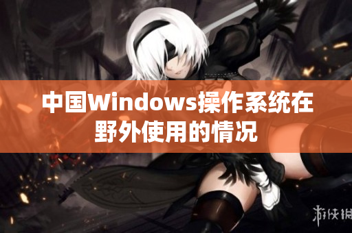 中国Windows操作系统在野外使用的情况