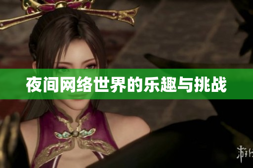 夜间网络世界的乐趣与挑战