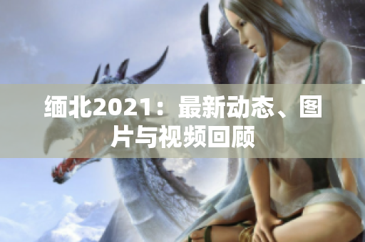 缅北2021：最新动态、图片与视频回顾