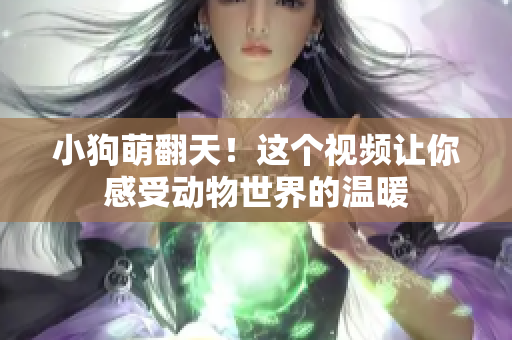 小狗萌翻天！这个视频让你感受动物世界的温暖