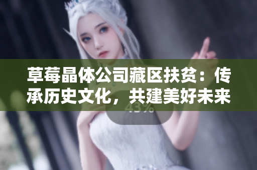 草莓晶体公司藏区扶贫：传承历史文化，共建美好未来